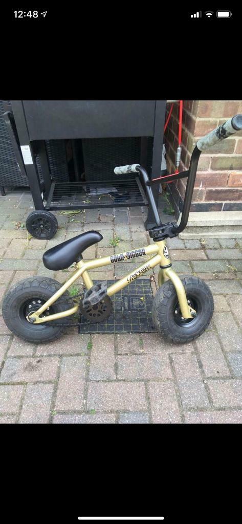 mini rocker gold digger